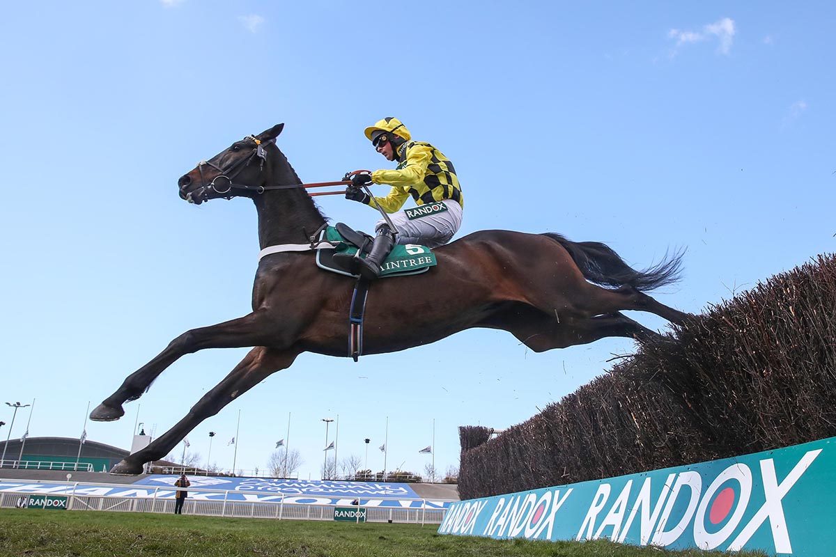 Shishkin winning the Grade 1 Doom Bar Maghull Novices' Chase at Aintree under Nico de Boinville.