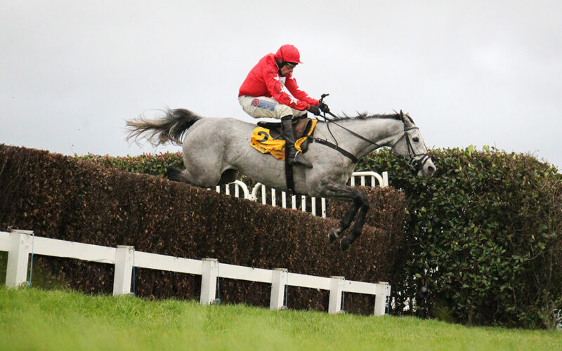 L'Eau Du Sud and Harry Skelton win the Betfair Henry VIII Novices' Chase for trainer Dan Skelton at Sandown. 7/12/2024 Pic Steve Davies/Racingmediapics.co.uk